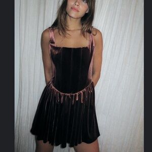 NWOT Zara velvet dress